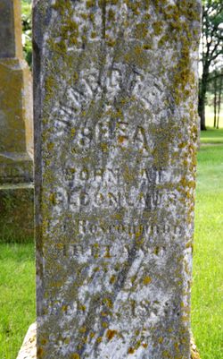 margaret kelly shea