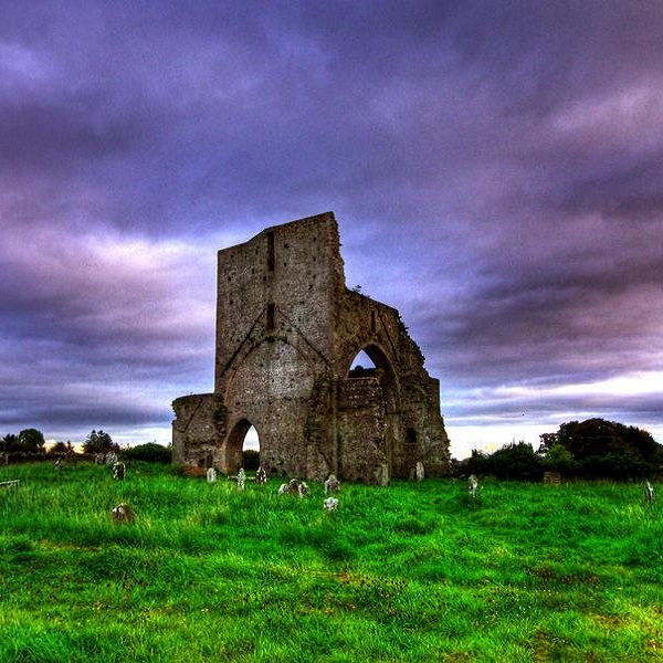 Abbeylara ruins